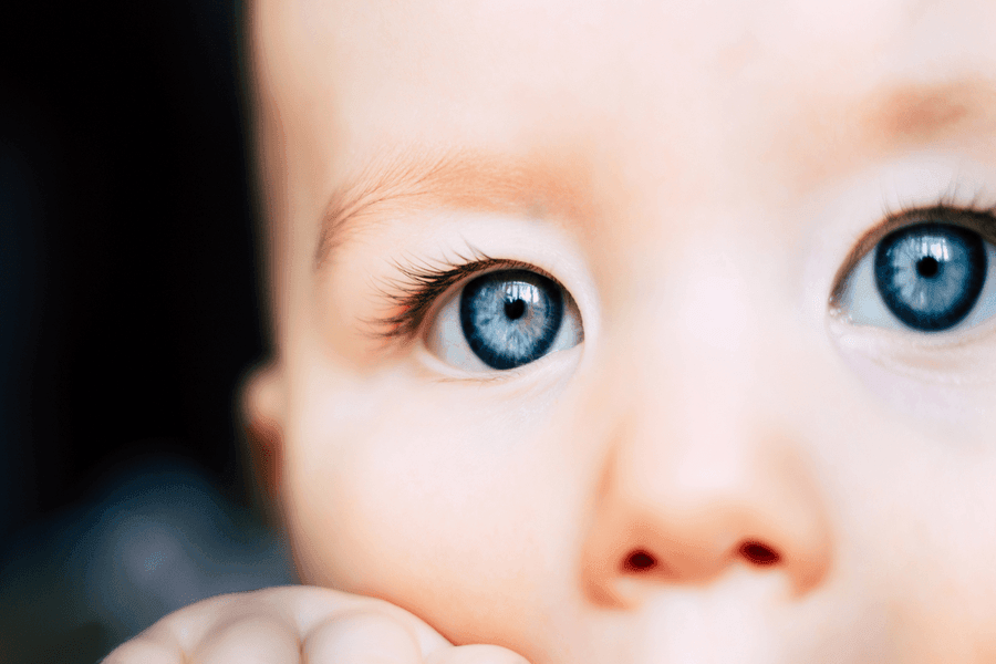 Tìm hiểu quá trình phát triển thị giác của trẻ sơ sinh
